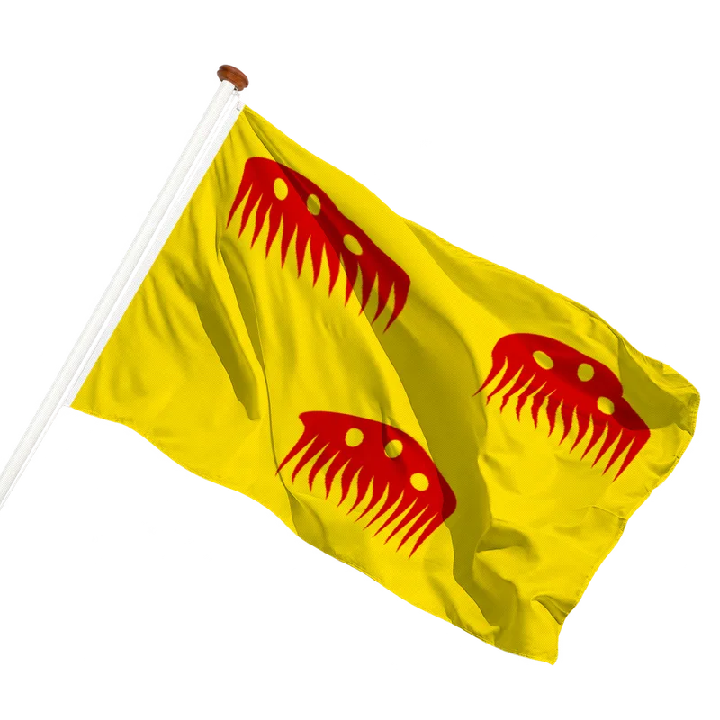 Vlag van Ohey