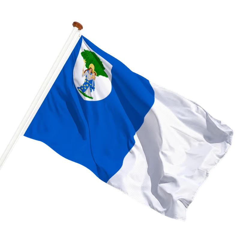 Vlag van Boom
