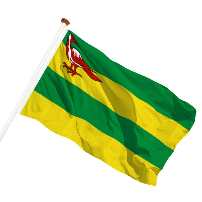 Vlag van Hindeloopen