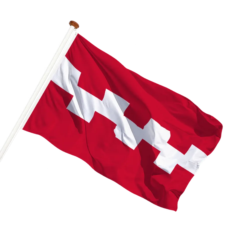 Vlag van Buren