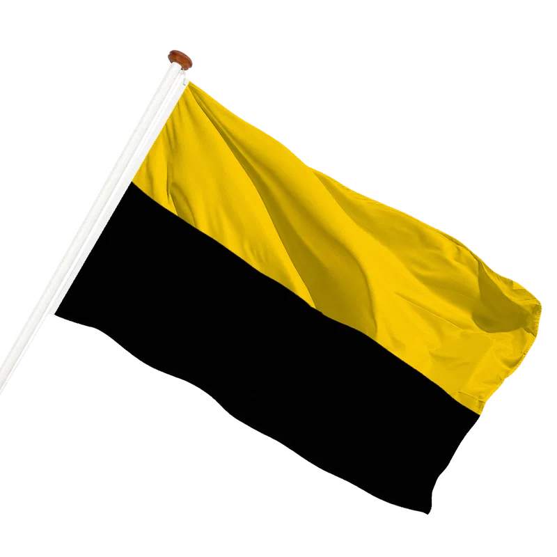Vlag van Tiel