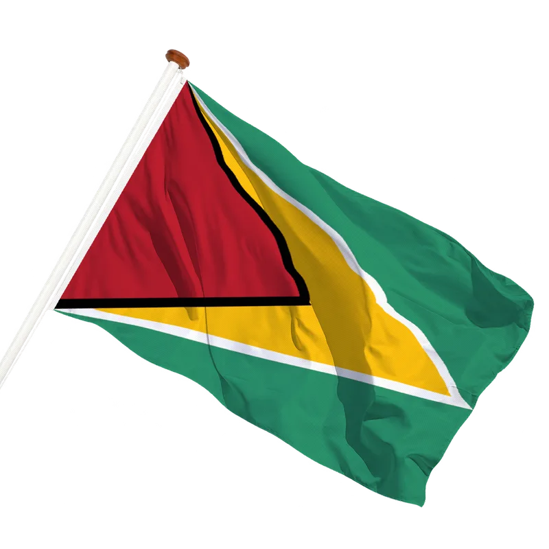 Vlag van Guyana