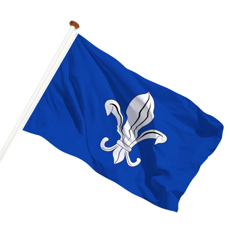 Vlag van Mesen