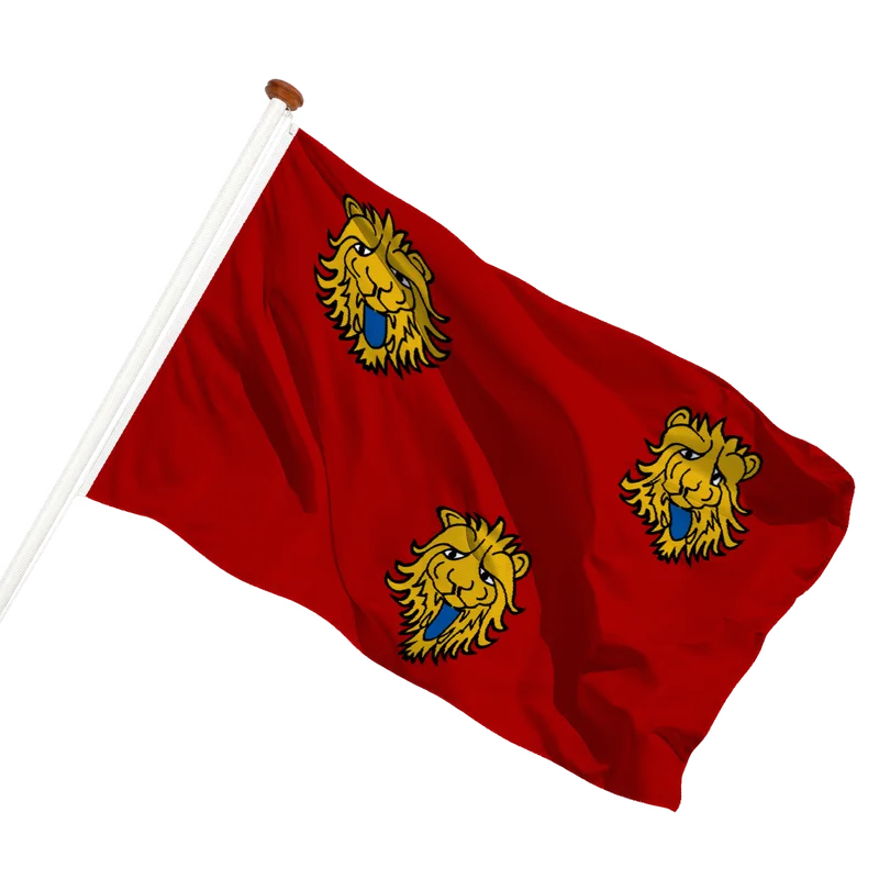 Vlag van Staden