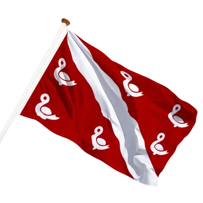 Transparant achtergrond