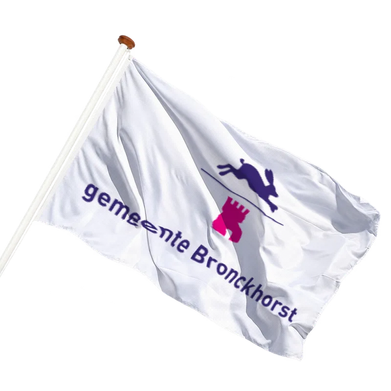 Vlag van Bronckhorst