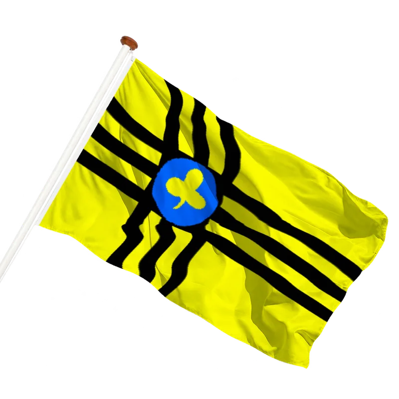 Vlag van Vledder