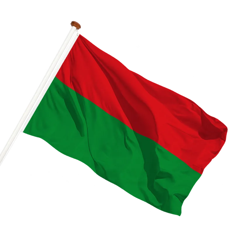 Vlag van Edam