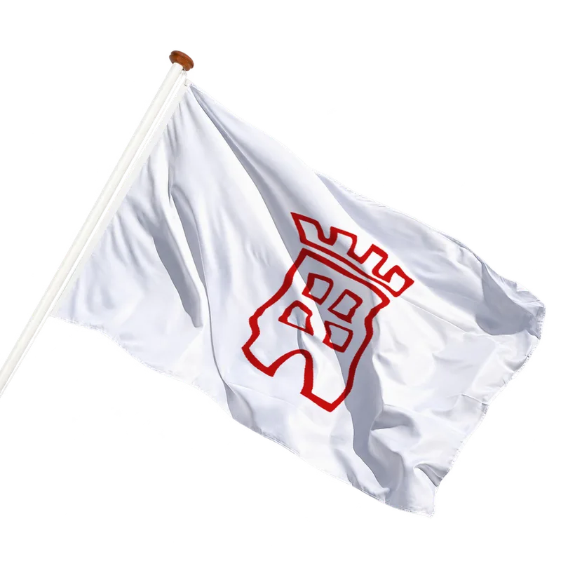 Vlag van Voorburg