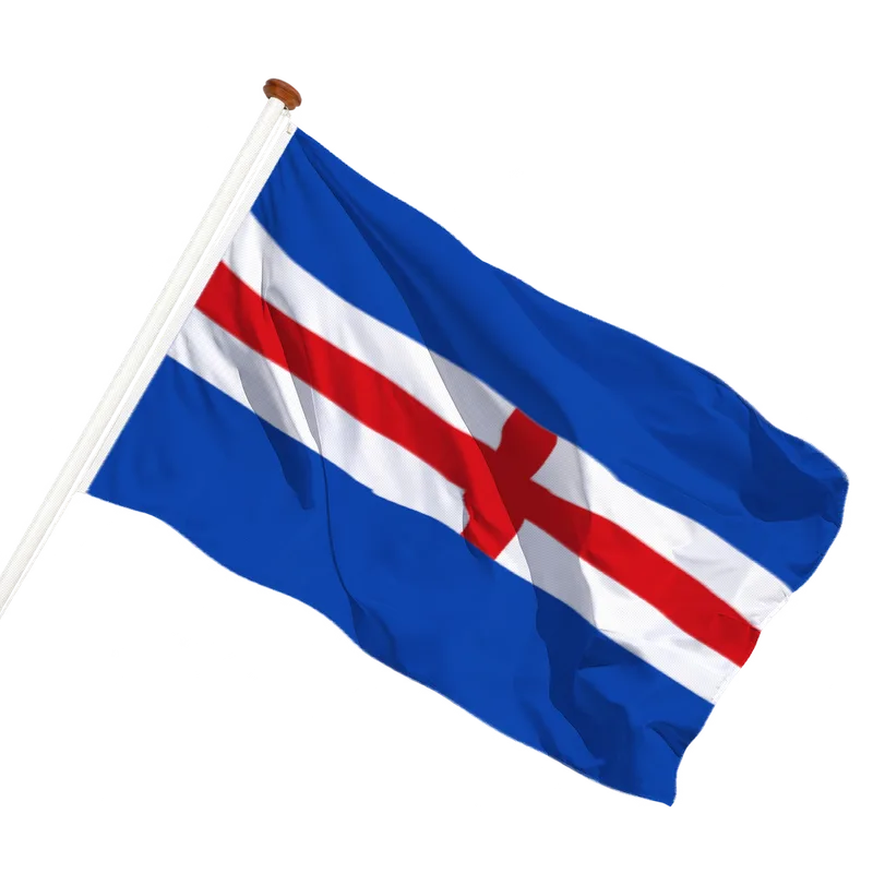 Vlag van Hasselt