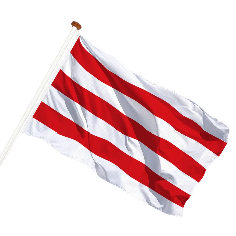 Vlag van Sint-Lievens-Houtem