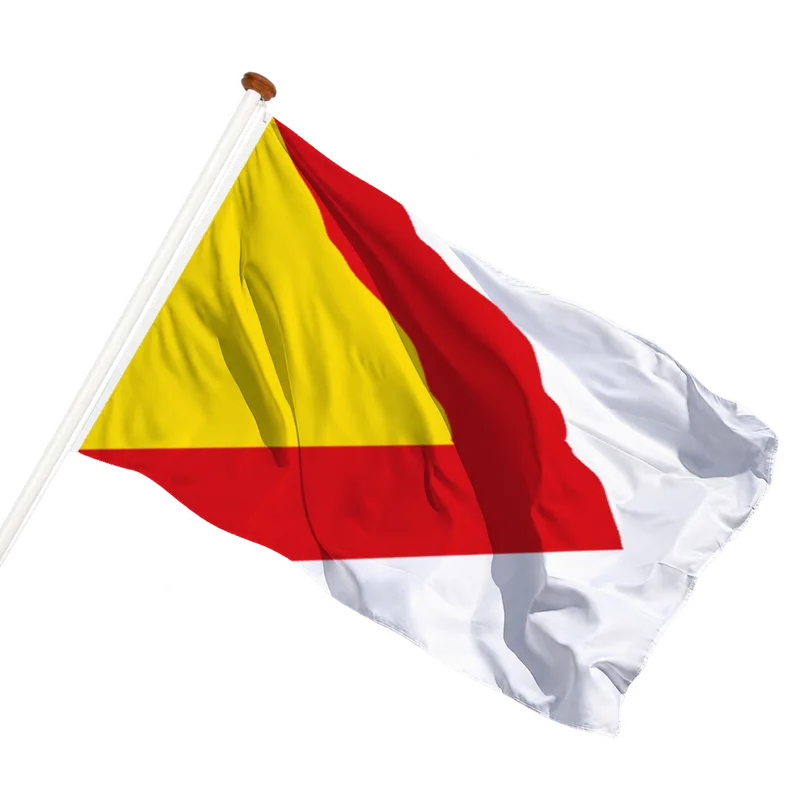 Vlag van Bergschenhoek