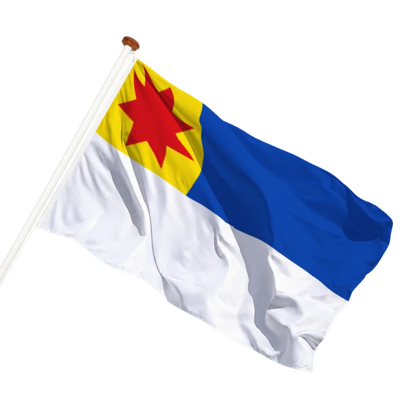 Vlag van Berkel en Rodenrijs