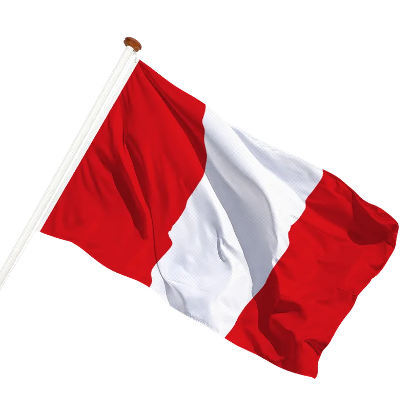 Vlag van Bergen