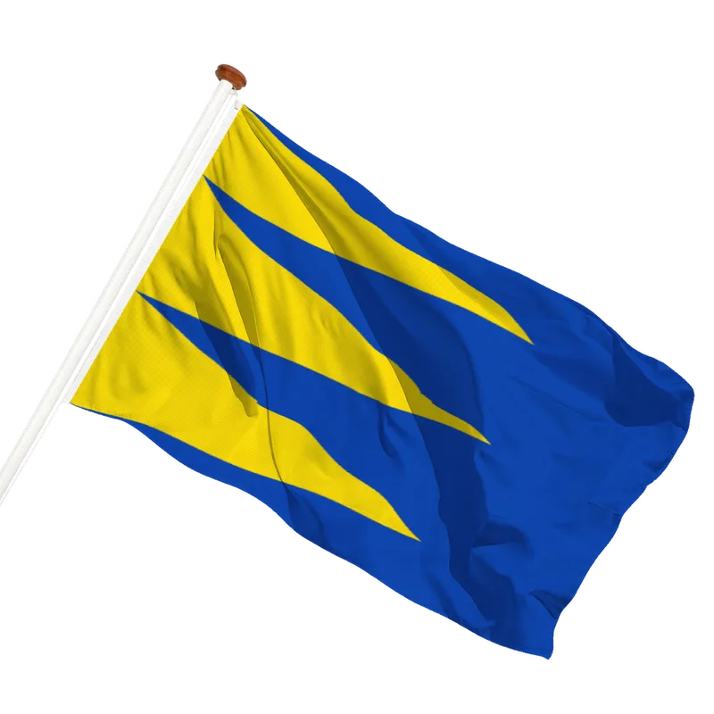 Vlag van Ravels