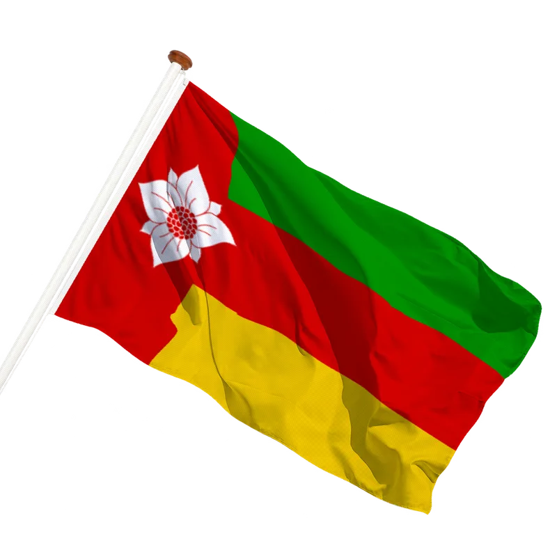Vlag van Tynaarlo