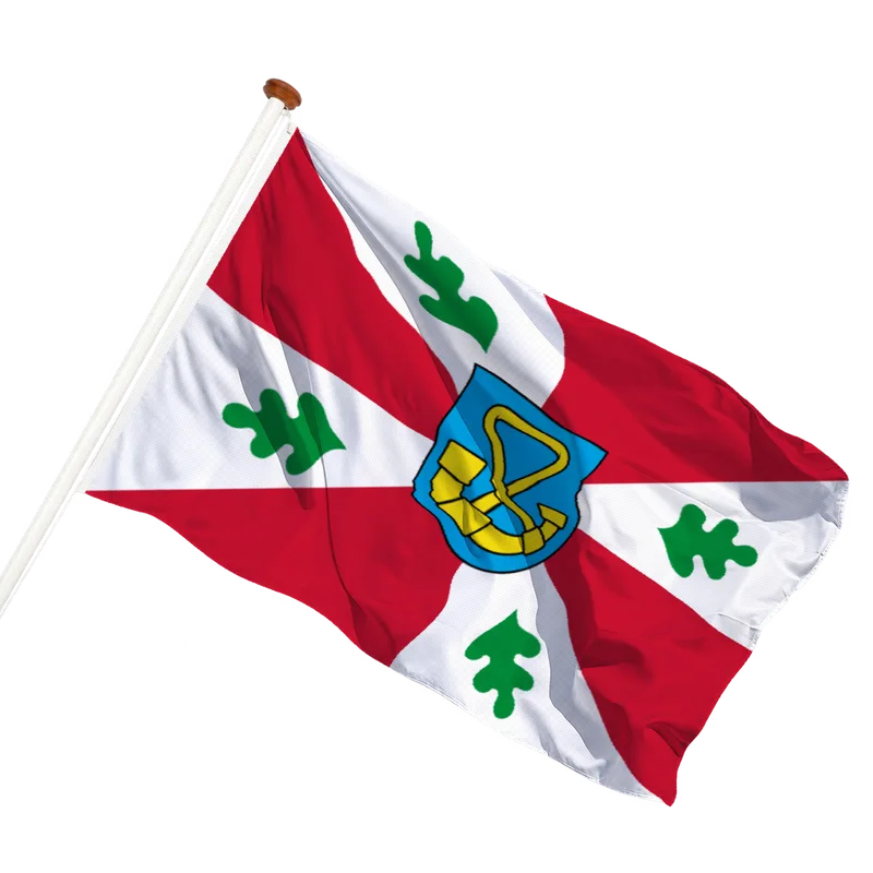 Vlag van Tytsjerksteradiel