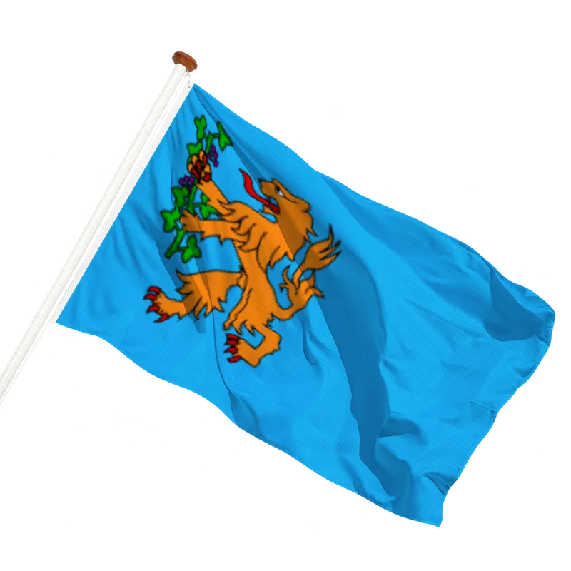 Vlag van Brummen