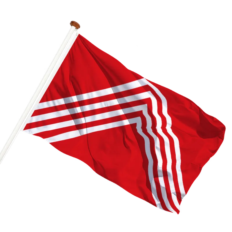 Vlag van Brakel