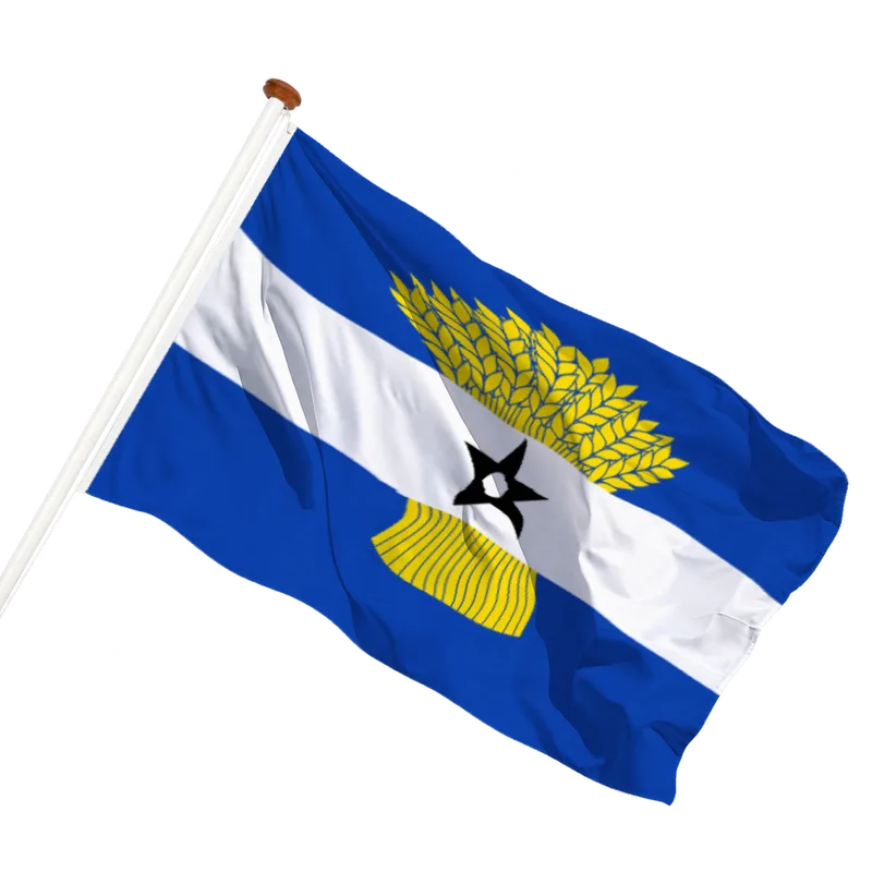 Vlag van Heinenoord