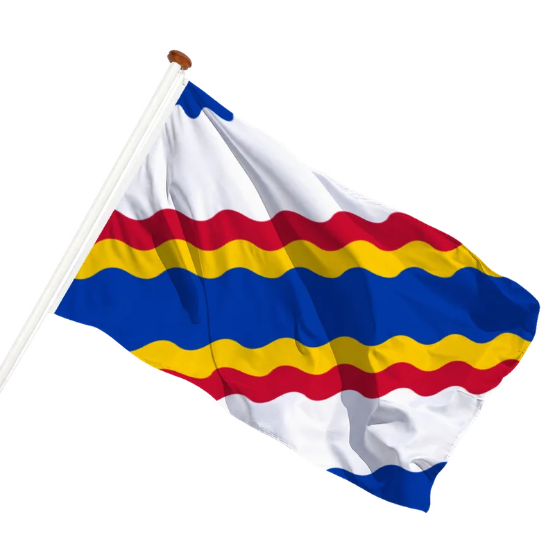 Vlag van Ten Boer