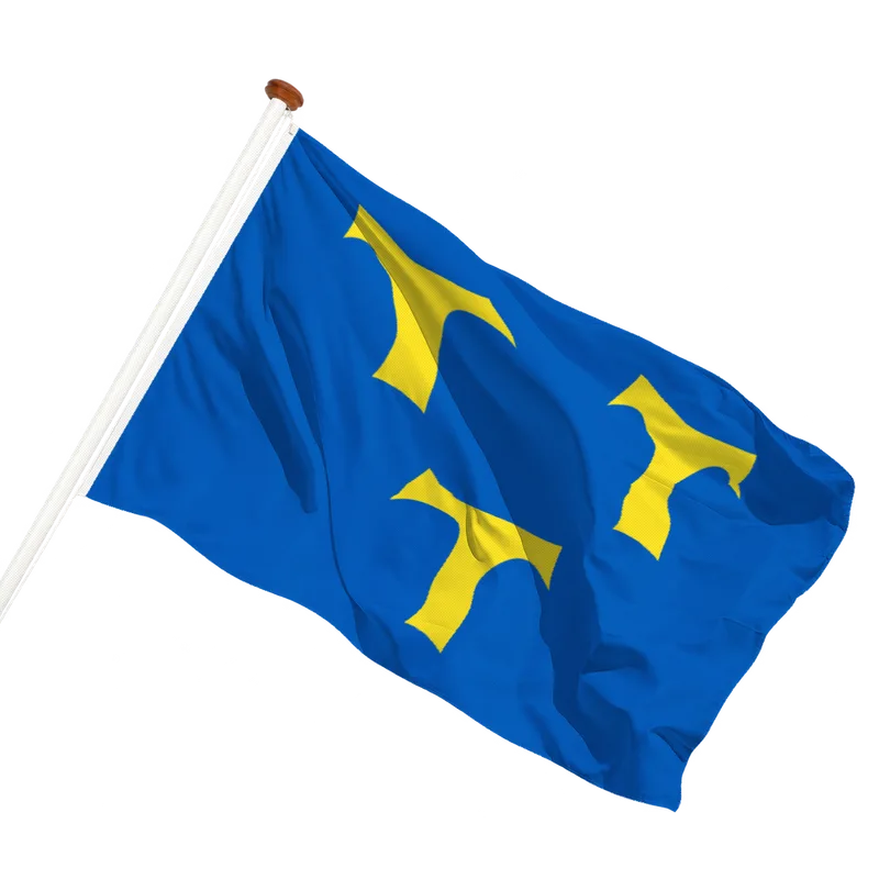Vlag van Lede