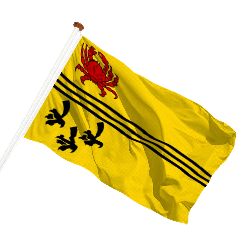 Vlag van Dirksland