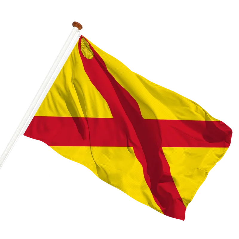 Vlag van Mijnsheerenland