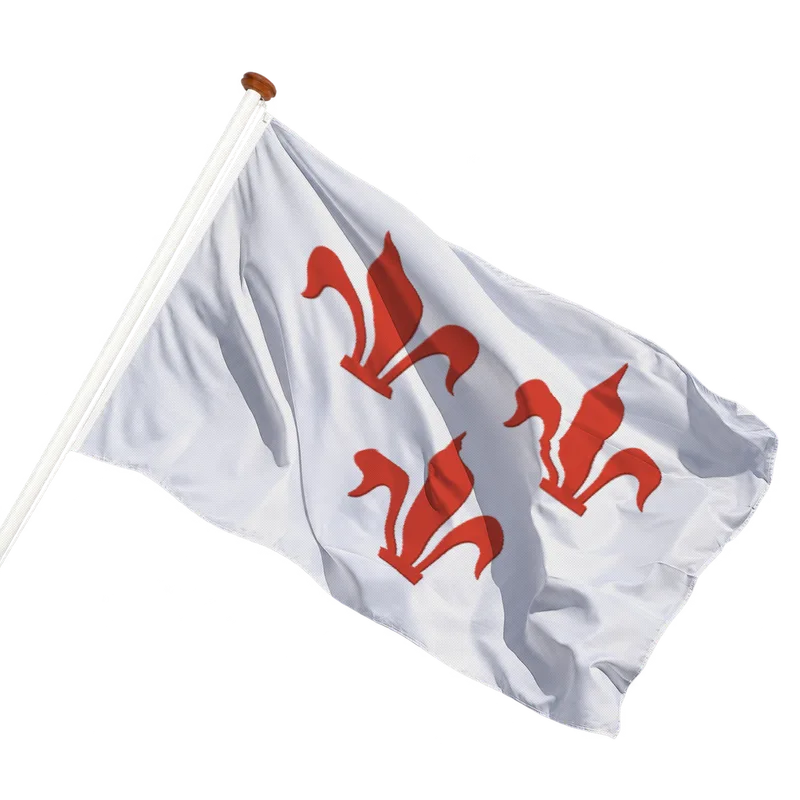 Vlag van Rotselaar