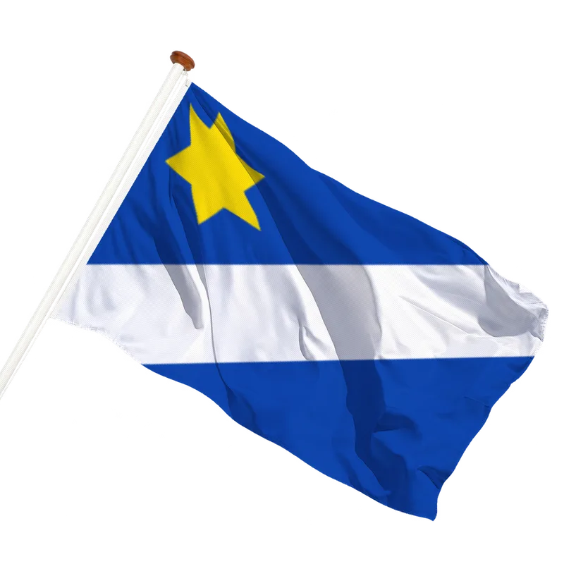 Vlag van Metslawier