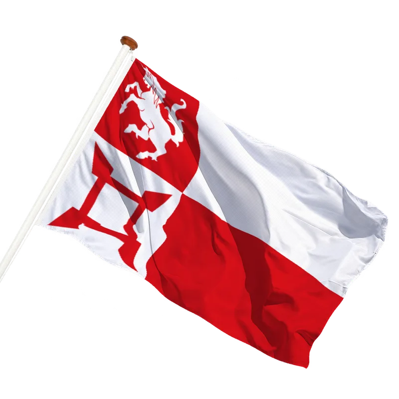 Vlag van Norg