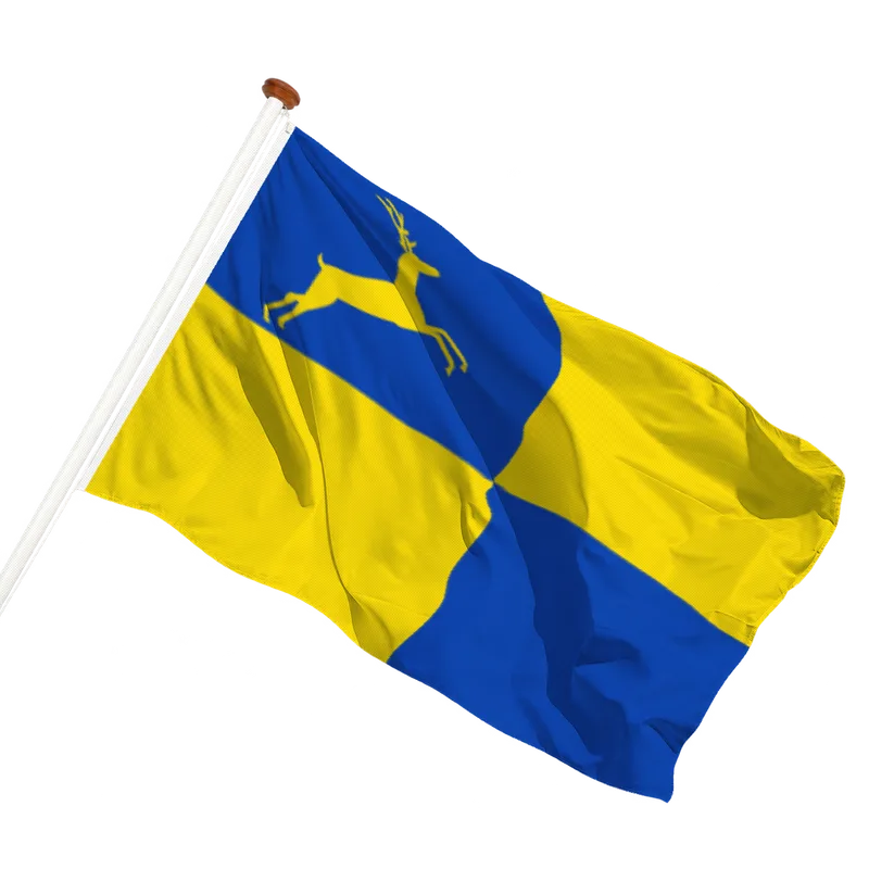 Vlag van Putten