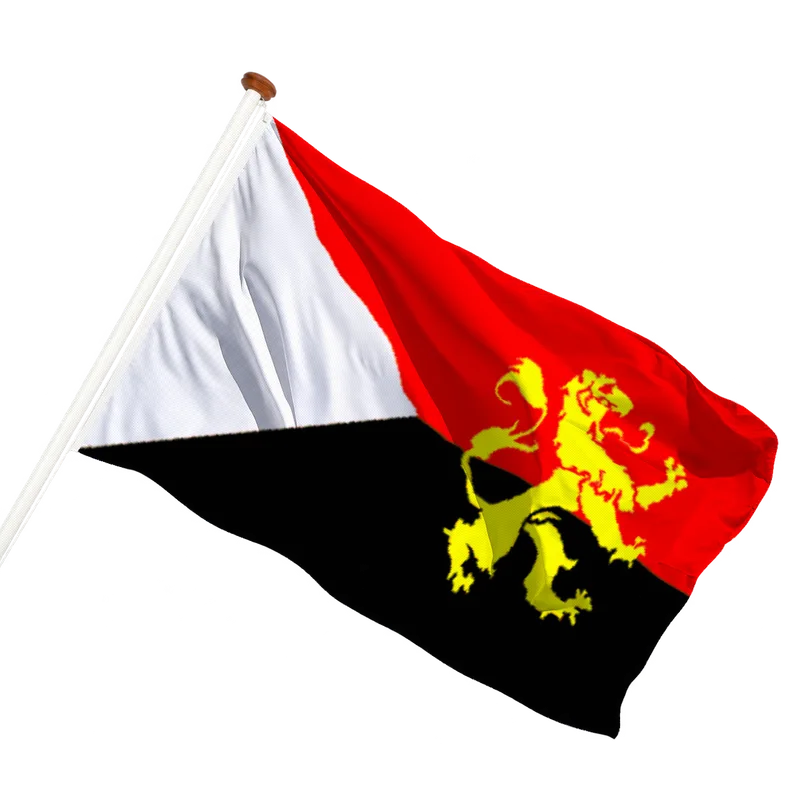 Vlag van Hilvarenbeek