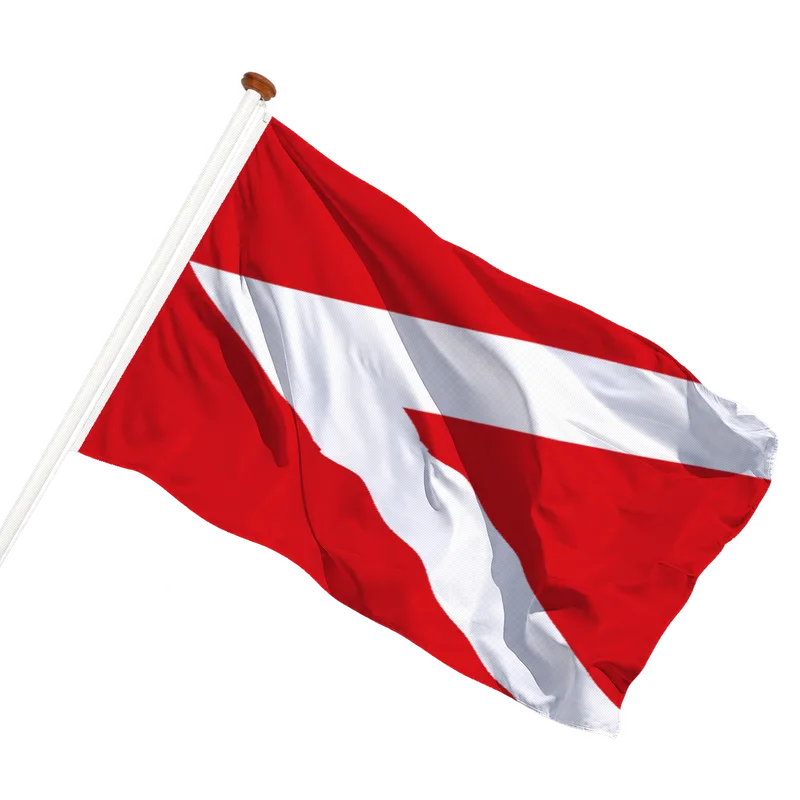 Vlag van Anderlues