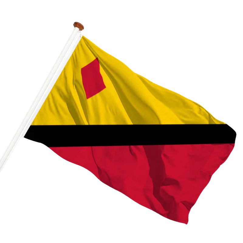 Vlag van Stein (L.)