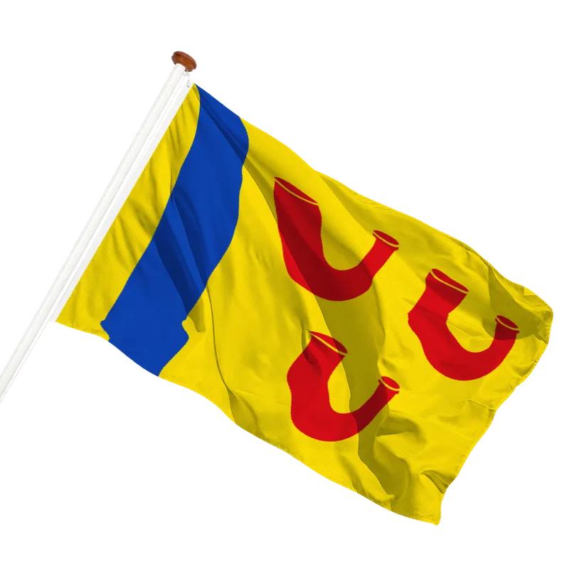 Vlag van Leudal