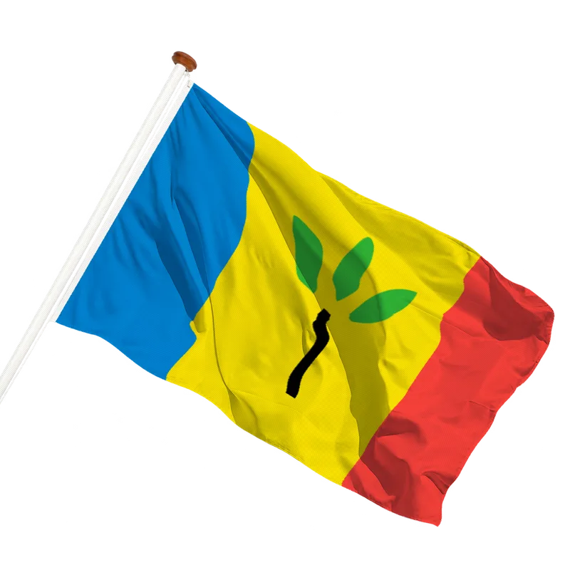 Vlag van Landgraaf