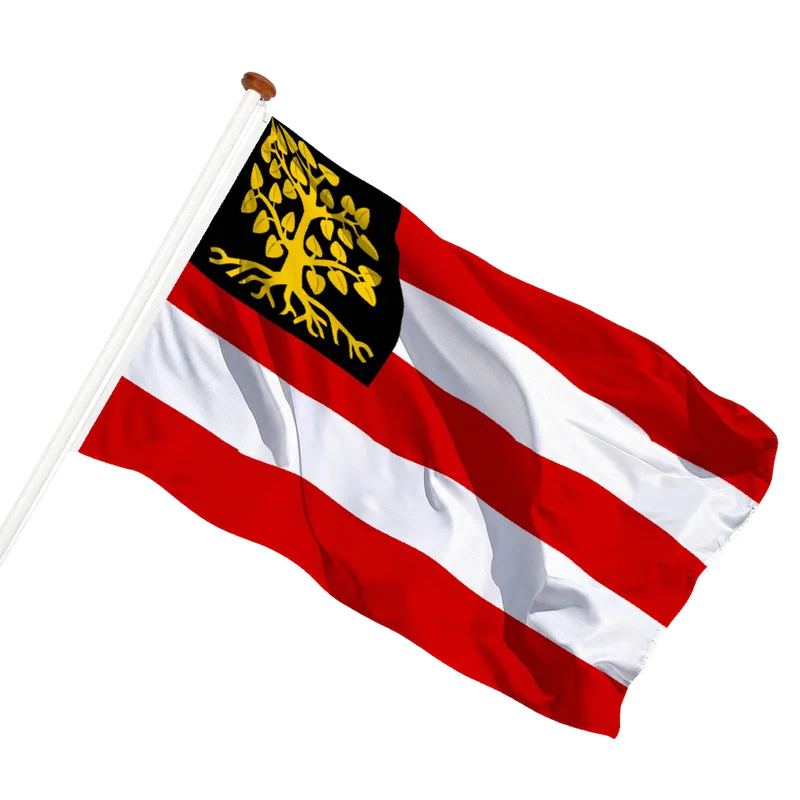 Vlag van 's-Hertogenbosch