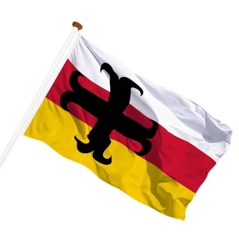 Vlag van Asten
