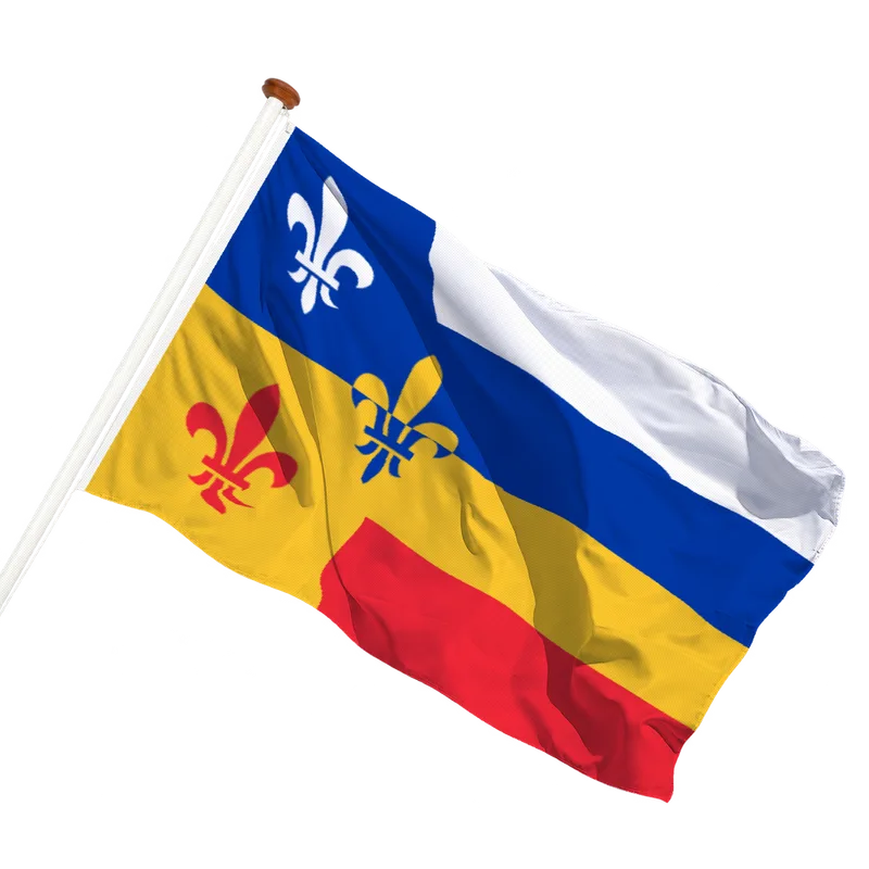 Vlag van Bergeijk