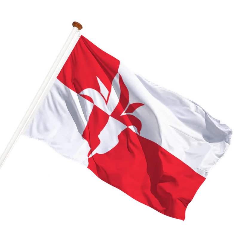 Vlag van Bernheze