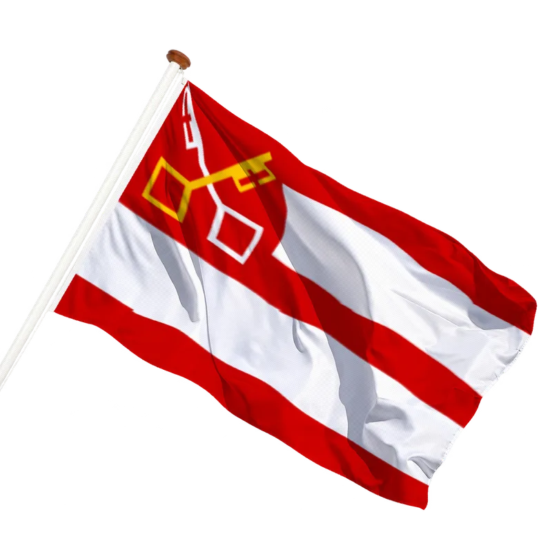 Vlag van Boxtel