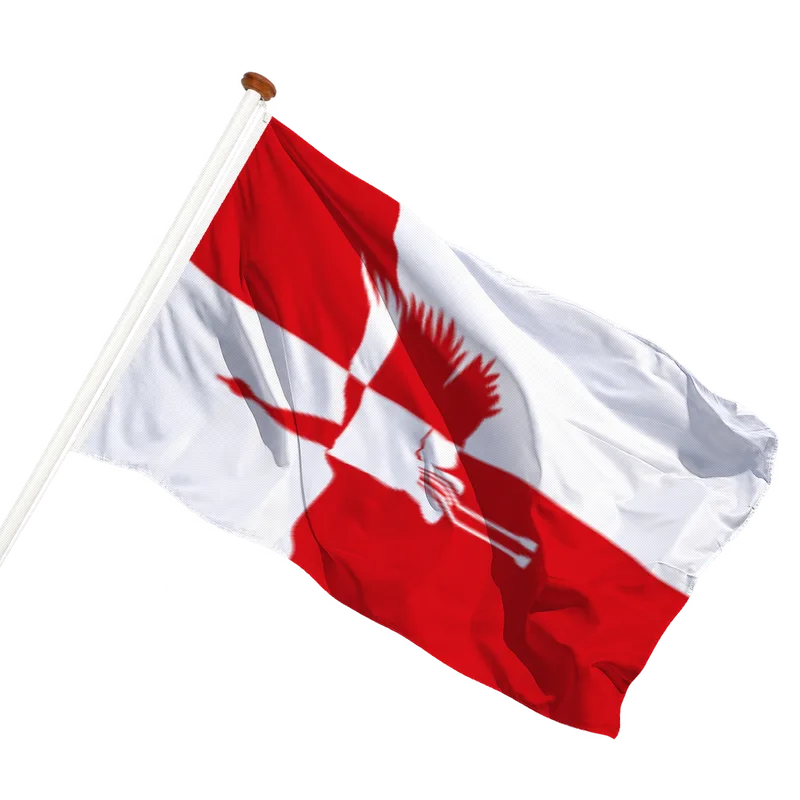 Vlag van Cranendonck