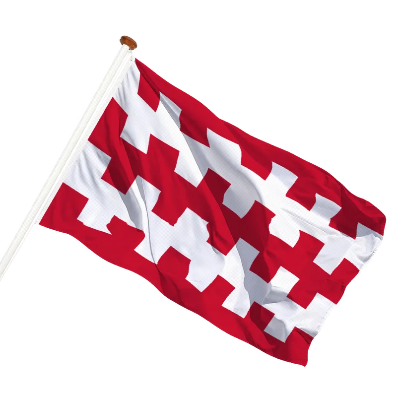 Vlag van Dongen