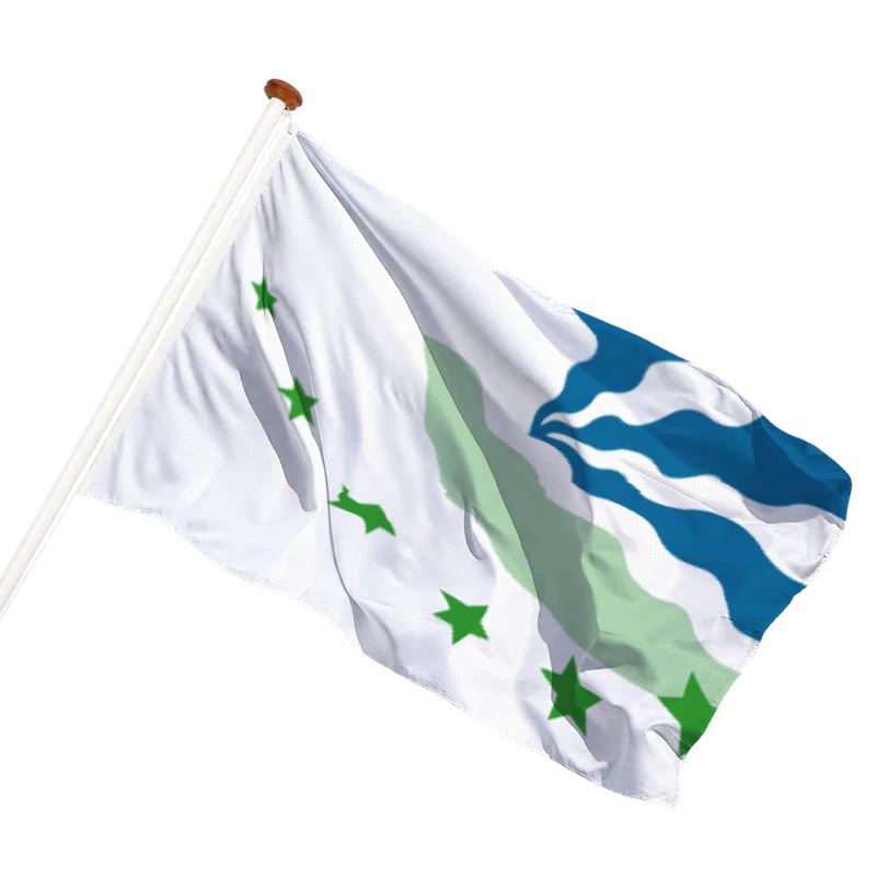 Vlag van Drimmelen