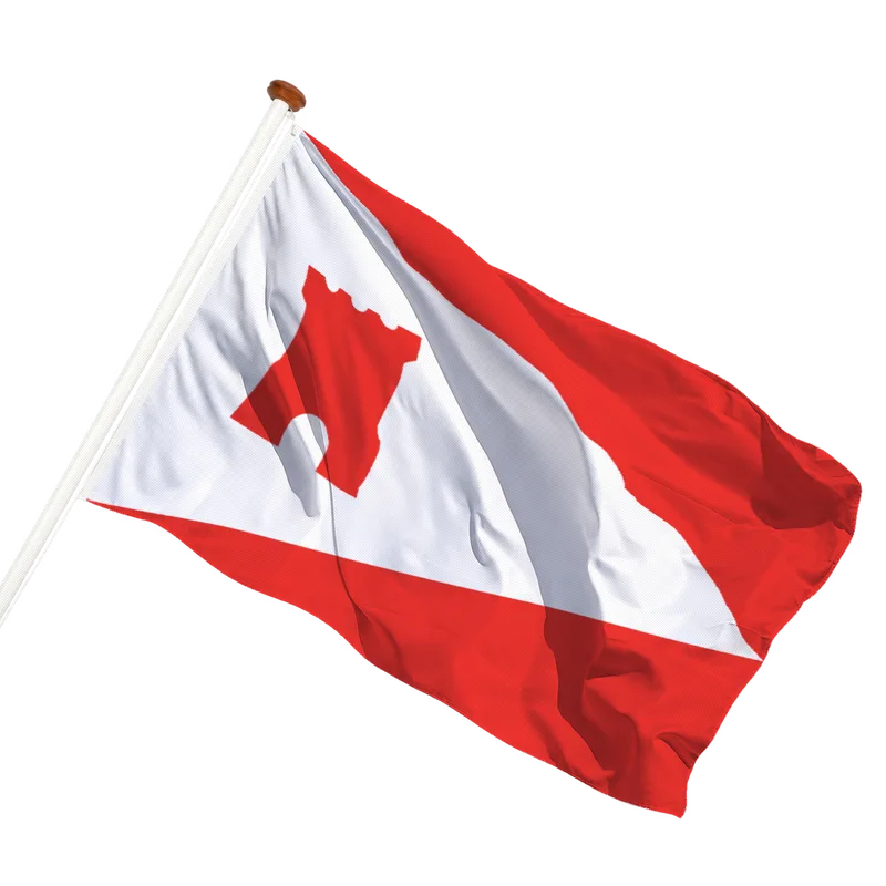 Vlag van Etten-Leur
