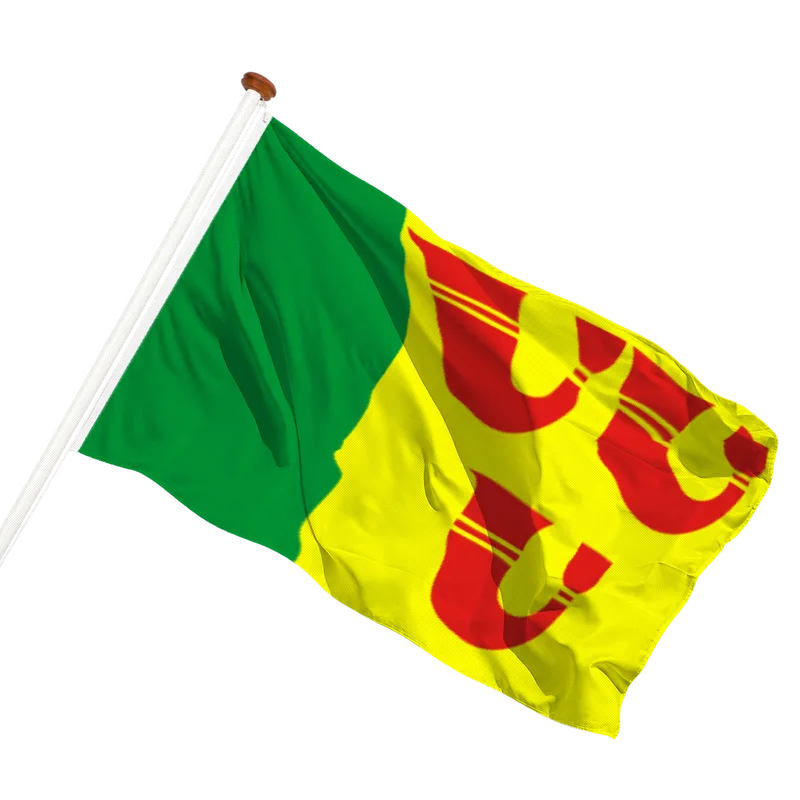 Vlag van Heeze-Leende