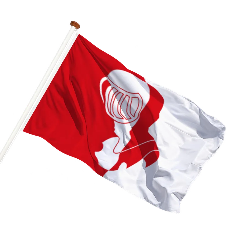 Vlag van Helmond