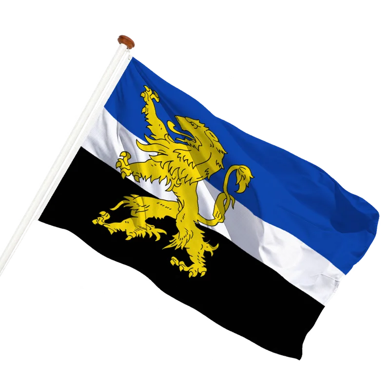Vlag van Hilvarenbeek