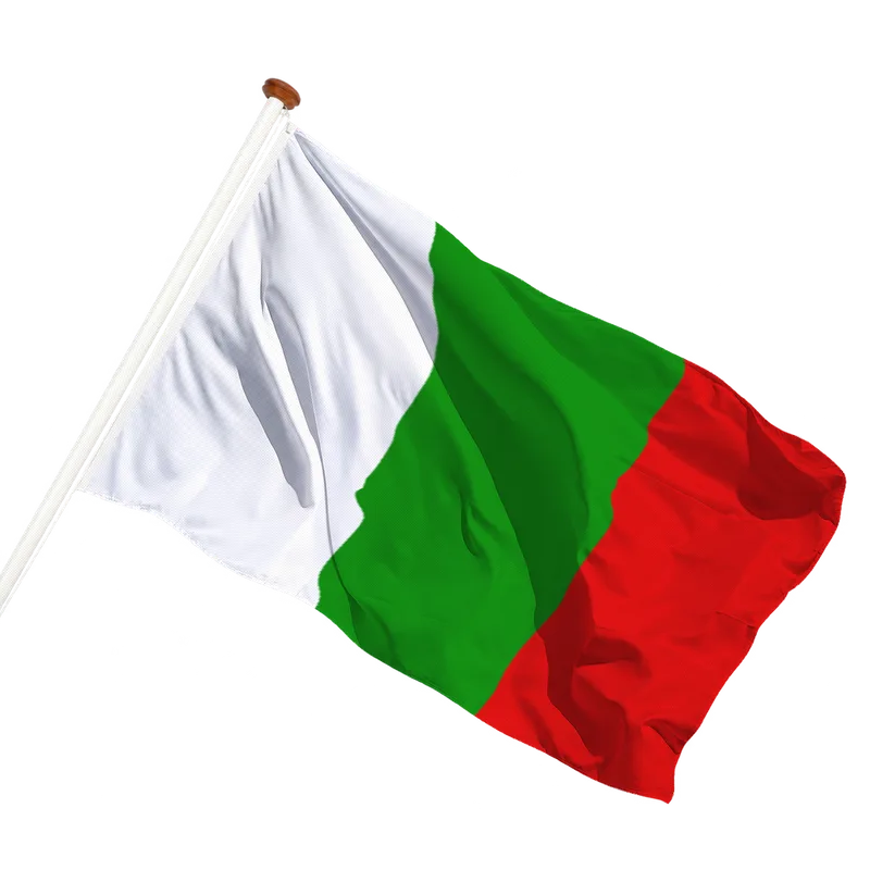Vlag van Tielt-Winge